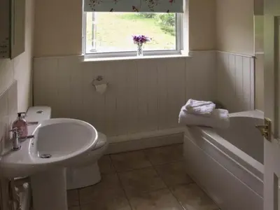 a bathroom with a sink and a toilet and a window at Cwmgilla Farm in Knighton