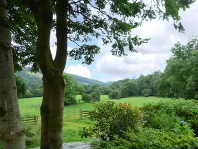 a green field with a fence and a tree at Crud-y-Barcud in Pumpsaint