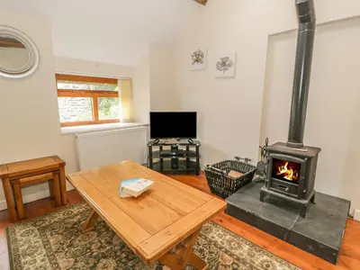 a living room with a wood stove in it at Hendoll Cottage 1 in Fairbourne