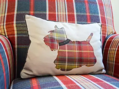 a pillow with a cat on it sitting on a couch at Brynhir Farm in Llandrindod Wells