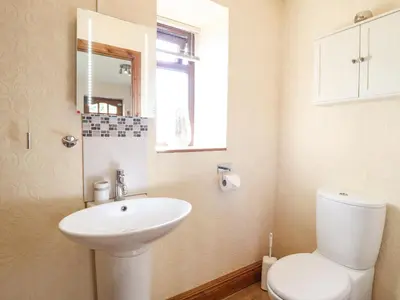 a bathroom with a white toilet and a sink at Bwthyn Ty Newydd in Pont Dolanog