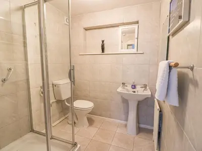 a bathroom with a shower and a toilet and a sink at Trederwen in Rhayader
