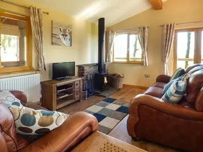 a living room with two leather couches and a television at Valley View Lodge in Trelystan