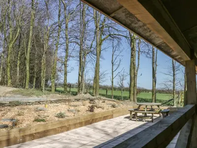a patio with a picnic table in the woods at Valley View Lodge in Trelystan