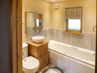 a bathroom with a sink and a toilet and a tub at Valley View Lodge in Trelystan