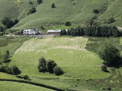 a house in the middle of a field with cows at 2 Beacon View Barn in Felindre