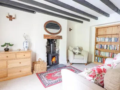 a living room with a fireplace and a couch at Bodywen in Llangynog