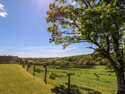 a fence and a tree in a field at Foxes Meadow in Llandrindod Wells