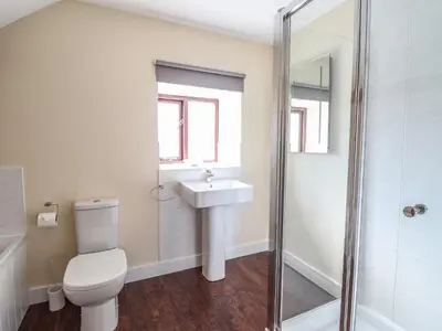 a bathroom with a toilet and a sink and a shower at Beudy Bach Barn in Llanuwchllyn