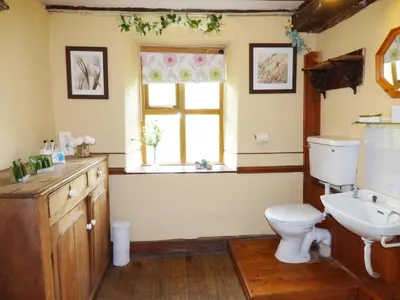 a bathroom with a toilet and a sink and a window at Arllen Fawr in Pen-y-bont-fawr
