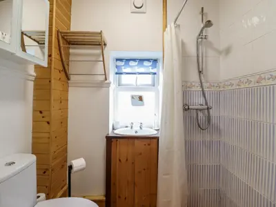a bathroom with a sink and a shower and a toilet at Cae Tanws Bach in Dolgellau