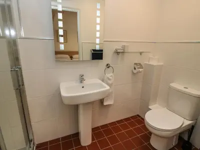 a bathroom with a sink and a toilet and a mirror at Plum Hill Apartment in Oswestry
