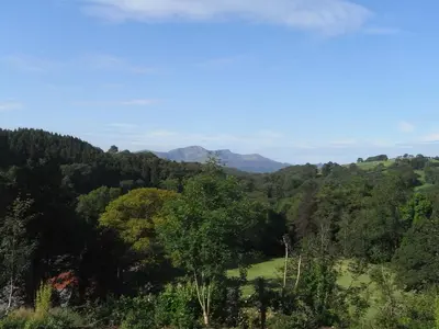 a view of a forest with mountains in the background at Y Bwythyn at Henfaes in Rhydymain