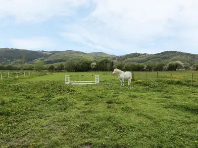 a white horse standing in a field next to a fence at Brickfield Cottage in Machynlleth
