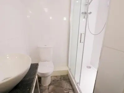 a bathroom with a toilet and a shower and a sink at 2 Borthwen Cottages in Dyffryn