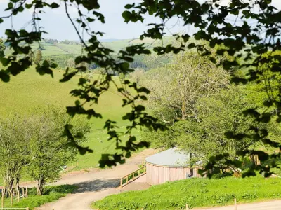 a barn in a field with a dirt road at Rolling Hills in Newcastle