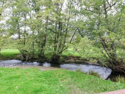 a stream in a park with trees and grass at River's Nook in Llangynog