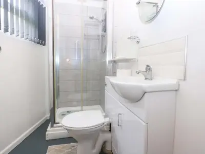 a bathroom with a toilet and a sink and a shower at River's Nook in Llangynog