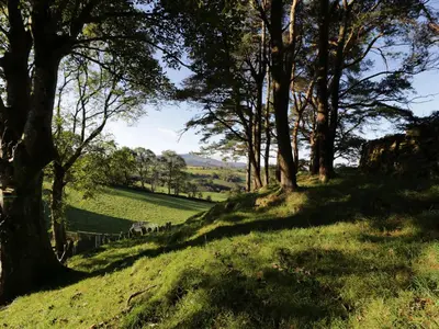 a grassy hill with trees and a field at Yr Hen Dy in Ffestiniog