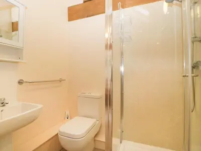 a bathroom with a toilet and a sink and a shower at Timber Barn in Eardisland
