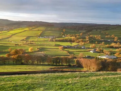 a view of a green field with trees and houses at Coedmor Cottages in Lampeter
