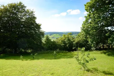 a field of green grass with trees in the background at Coedmor Cottages in Lampeter