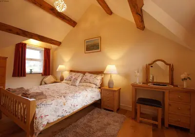 a bedroom with a bed and a dresser and a mirror at Hafod in Llanddwywe