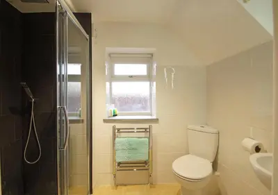 a bathroom with a toilet and a sink and a shower at Hafod in Llanddwywe