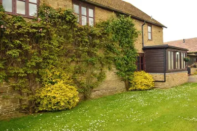 a brick house with ivy on the side of it at Upper Onibury Cottages in Onibury