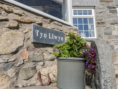 a sign on a stone wall with a pot of flowers at Tyn Llwyn in Gwyddelwern