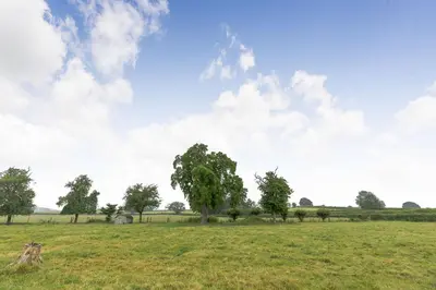 a grassy field with trees in the background at Meadow Lea in Leominster