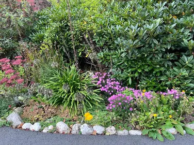 a garden with colorful flowers and plants at Riverside Cottage in Llandrindod Wells