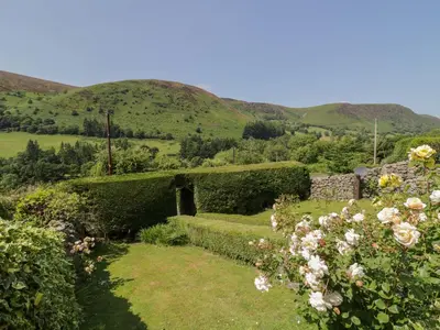 a garden with bushes and flowers with mountains in the background at Haulfryn in Llangynog