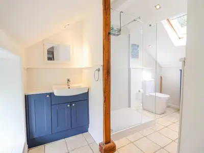 a bathroom with a shower and a sink and a toilet at Haulfryn in Llangynog