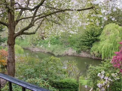 a river in a garden with a fence and flowers at Riverdale in Shrewsbury