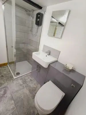 a bathroom with a toilet and a sink and a shower at The Harp Inn in Glasbury