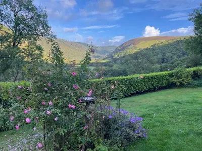 a field of flowers with mountains in the background at Kilsby Cottage in Llanwrtyd Wells