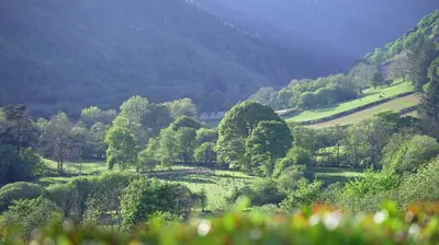 a view of a valley with trees and a mountain at Kilsby Cottage in Llanwrtyd Wells