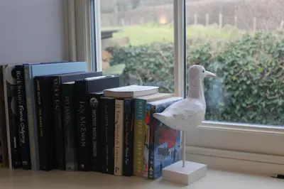a toy bird standing next to a row of books at Capel- Y-Bryniau in Pennal