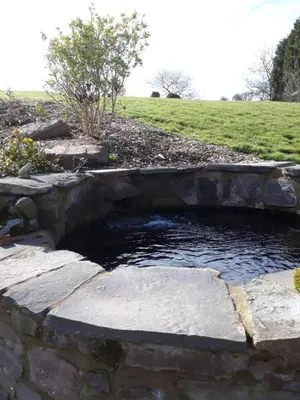 a pool of water in a stone retaining wall at The Draen Bed and Breakfast in Brecon