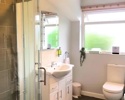 a bathroom with a sink and a toilet and a window at Harbourmaster Hotel in Aberaeron