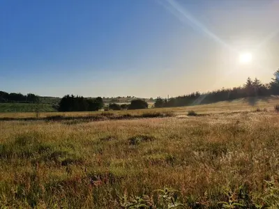 a field of grass with the sun in the sky at Welshhomestead in Tregaron