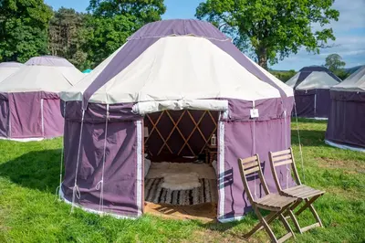 a tent with two chairs and a dog in it at Festival Yurts Hay-on-Wye in Hay-on-Wye