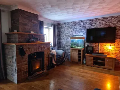 a living room with a fireplace and a tv at Castle Lodge - Brecon Beacons Accommodation in Sennybridge