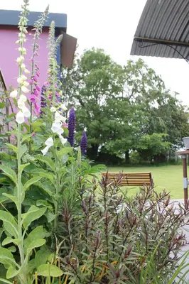 a garden with purple and white flowers and a bench at Off the Rails in Oswestry