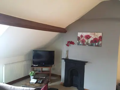 a living room with a tv and a fireplace at Ty Morgan's in Rhayader