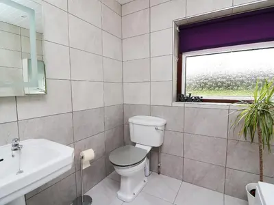 a bathroom with a toilet and a sink and a window at Blaenywawr in Cross Inn