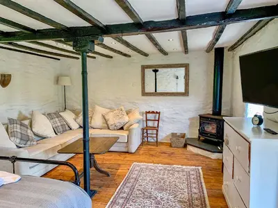a living room with a couch and a fireplace at Pant Dafydd Goch in Glyn-Ceiriog
