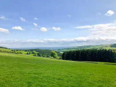a large green field with trees in the distance at Pant Dafydd Goch in Glyn-Ceiriog