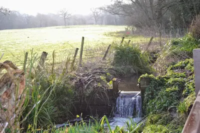 a small waterfall in a field next to a fence at Arrowwood Self Catering (Wagtail and Nuthatch) in Kington
